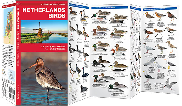 Waterford Press Netherlands Birds Waterford Press